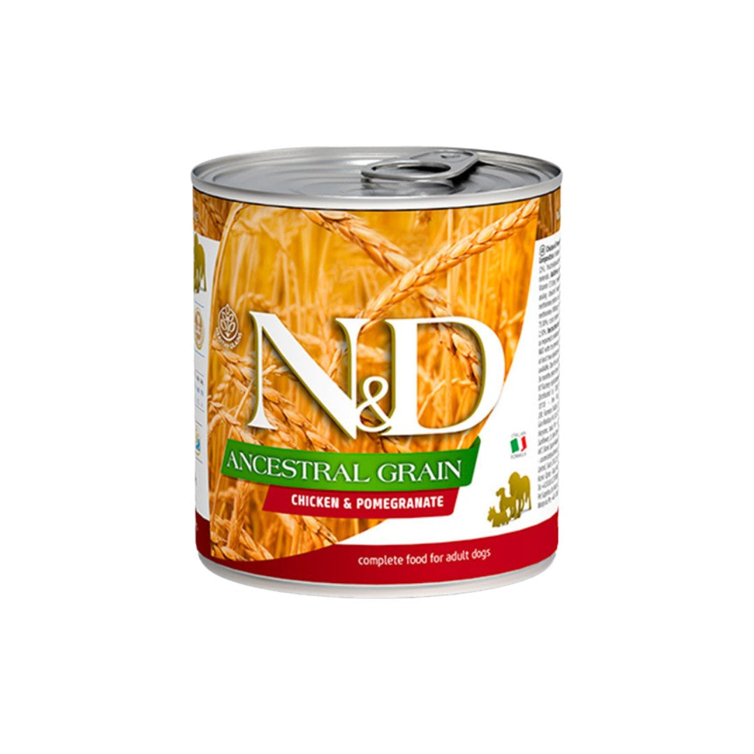 N&D Ancestral Chicken Adult - Wet