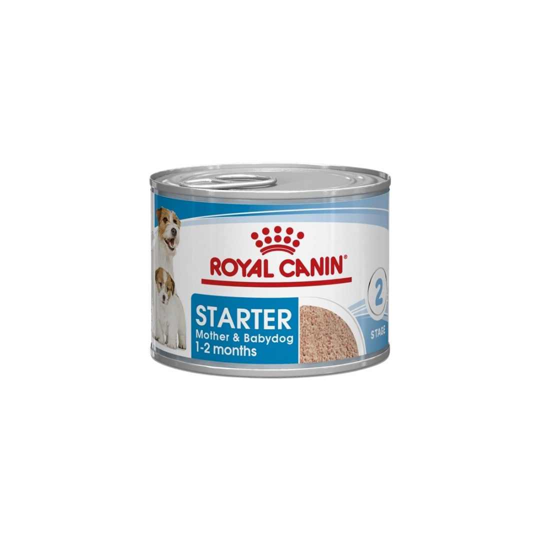 Royal Canine Maxi Starter 1-2 months - Wet (Can) - Box of 12