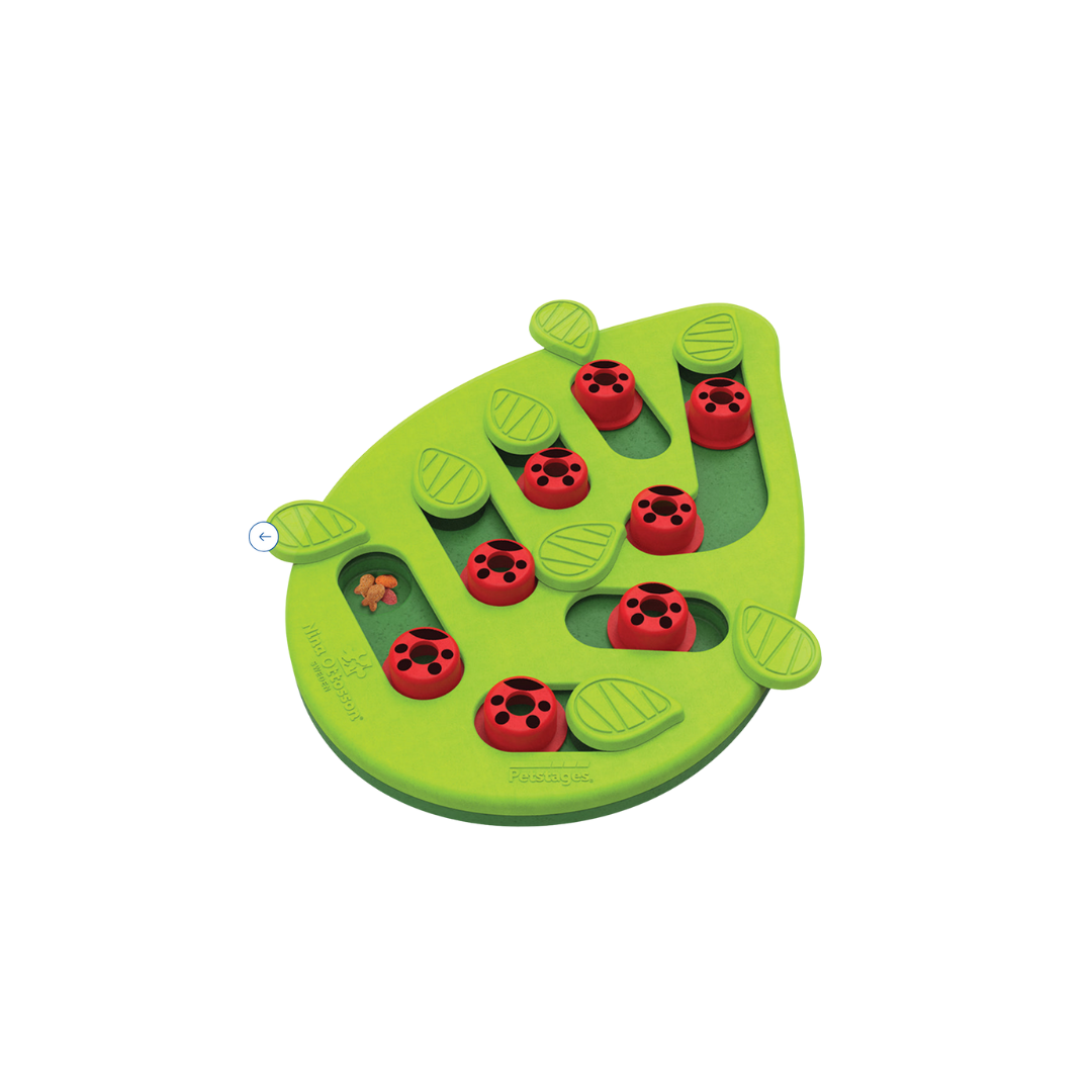 Hide and slide cat toy