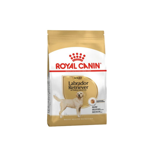 Royal Canine Labrador Retriever Adult