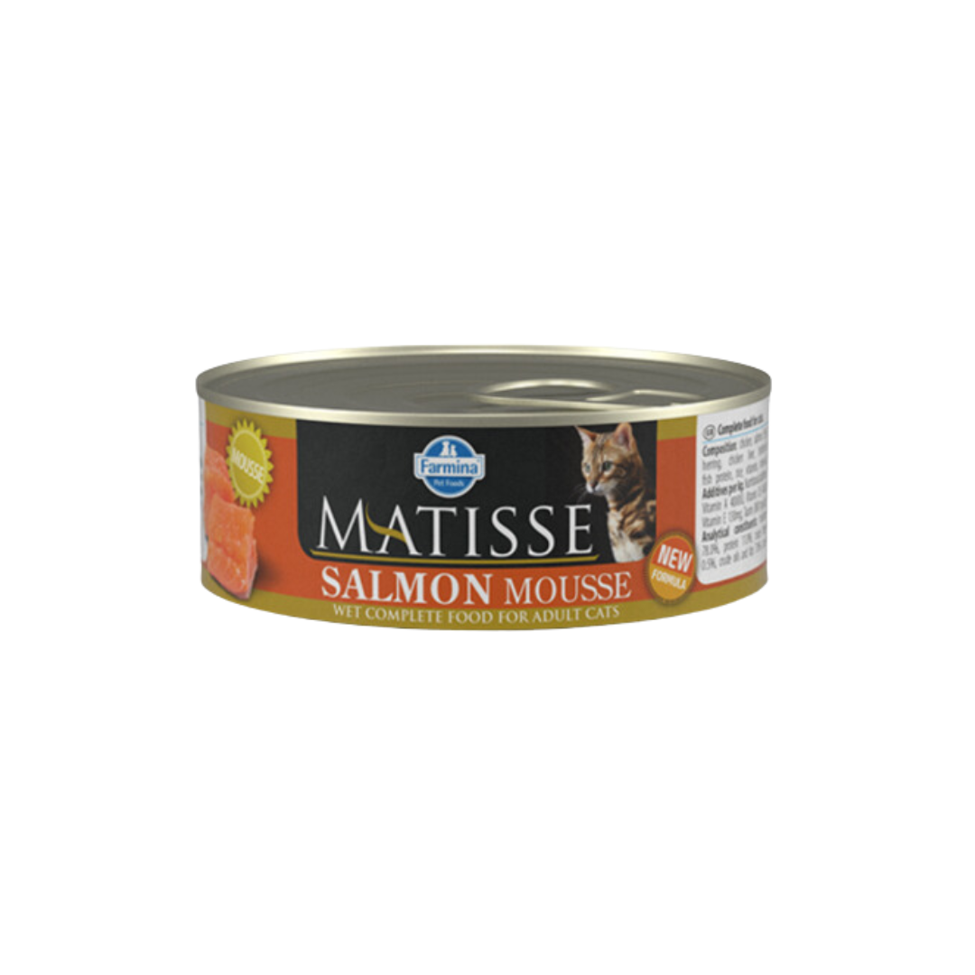 Matisse Mouse Salmon