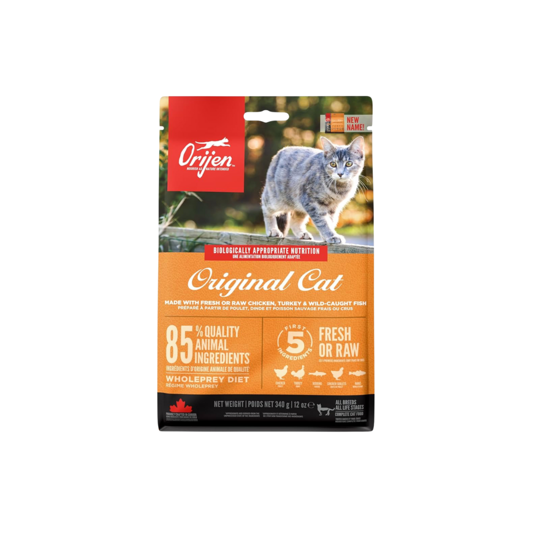 Original Cat - All breeds
