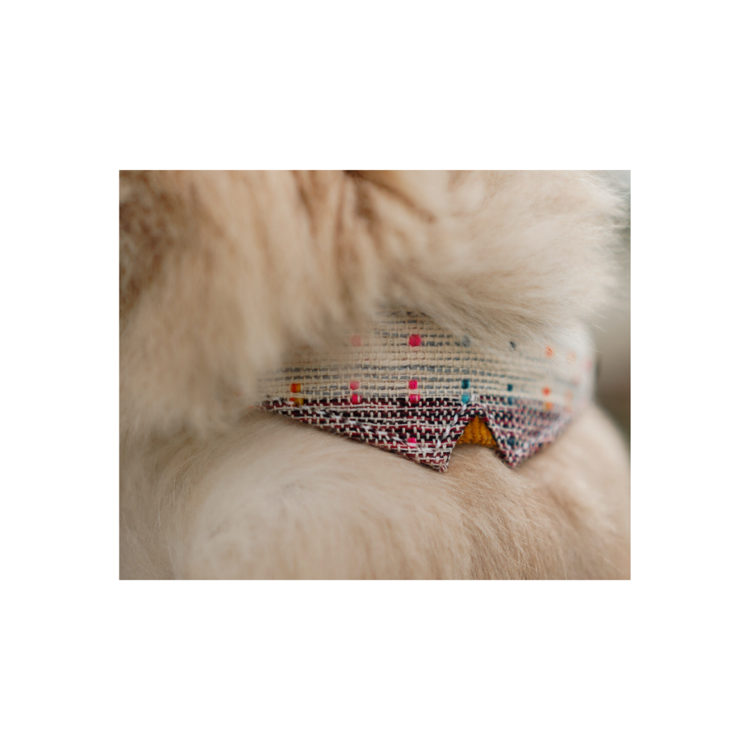 Cat C - Style Collar