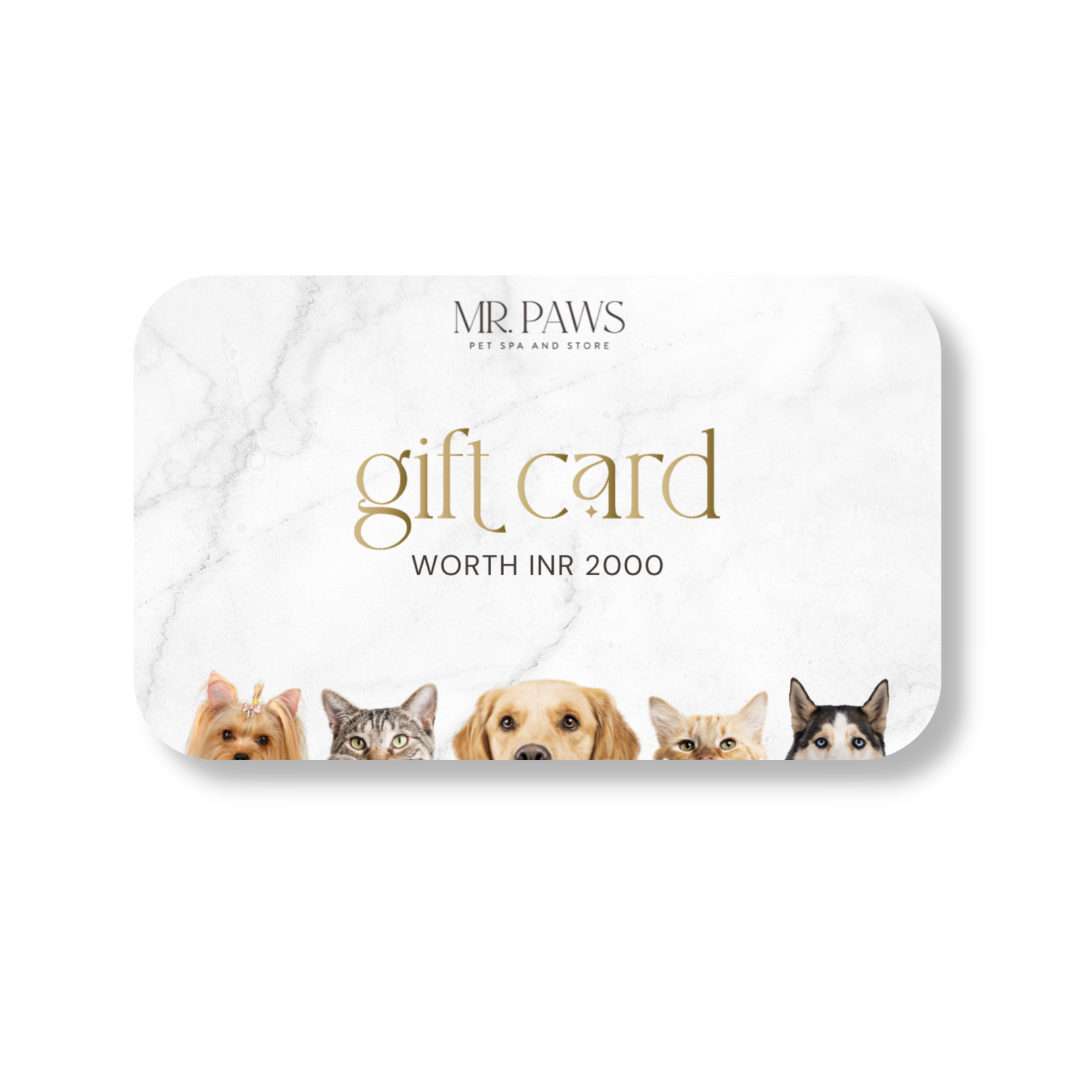 MR. PAWS GIFT CARD