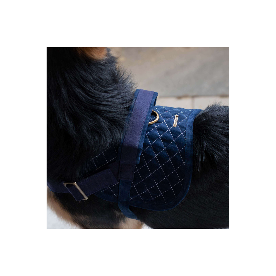 Flying Harness - Blue