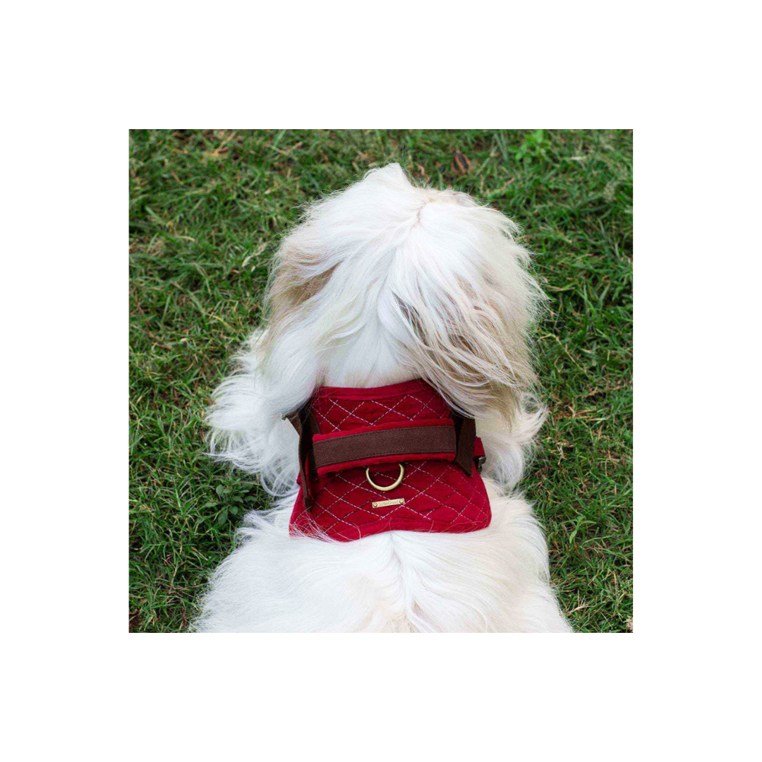 Flying Harness - Red