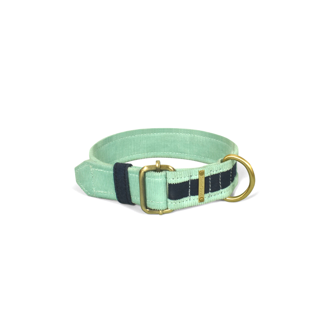 Corduroy Collar - Aqua & Blue