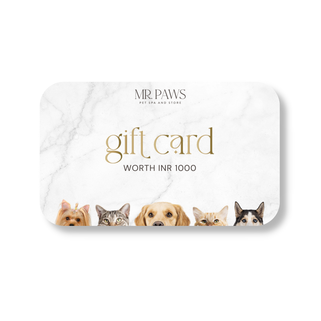Mr. Paws Gift Card